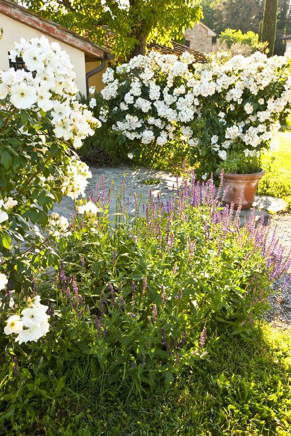Monsignor Della Casa Country Resort & Spa Borgo San Lorenzo Exterior photo
